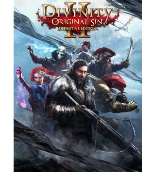 Divinity: Original Sin 2 Definitive Edition GOG.com Key GLOBAL